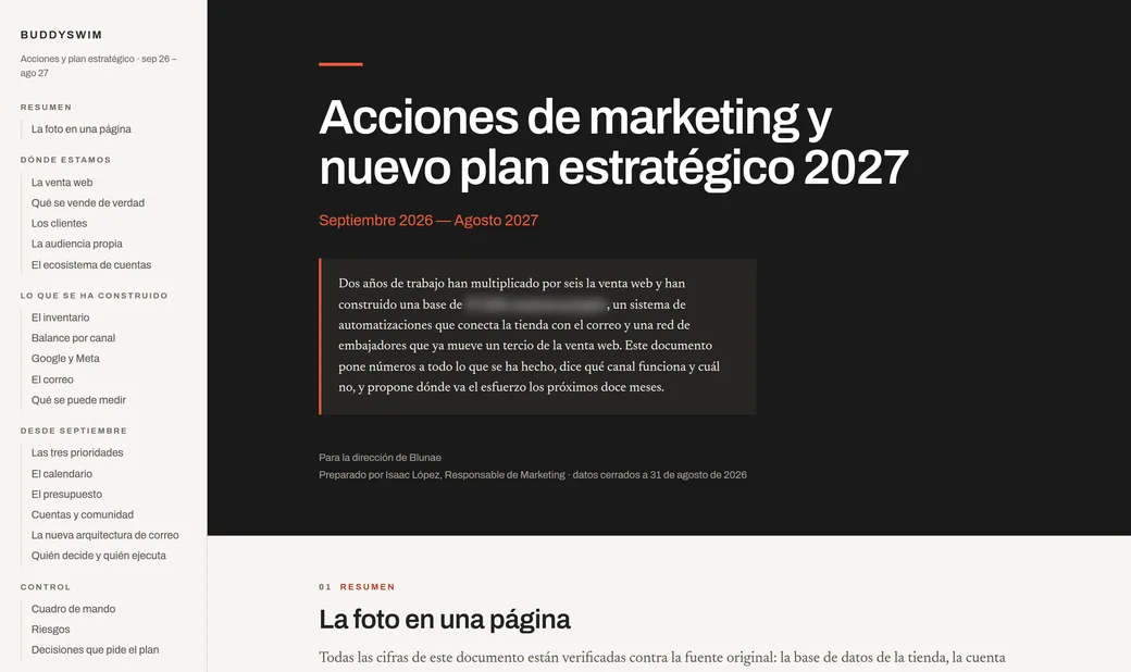 Auditoría y plan estratégico de marketing de Blunae · BuddySwim